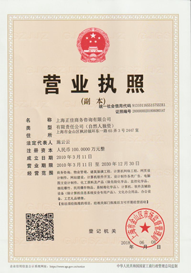 上海信息咨询业：引领企业决策的智慧之光